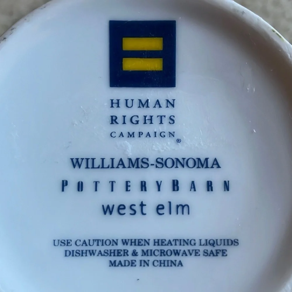 West Elm Love is Love Mug